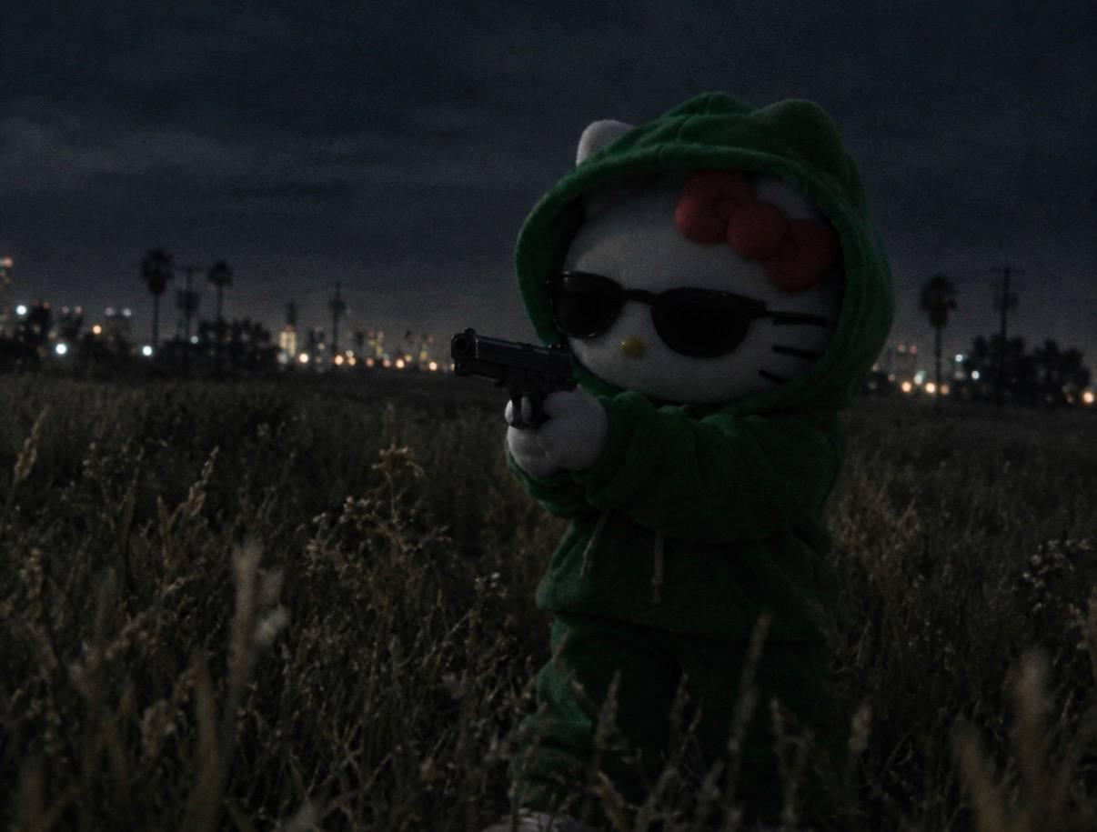 Hood Kitty in a field at night with the city behind