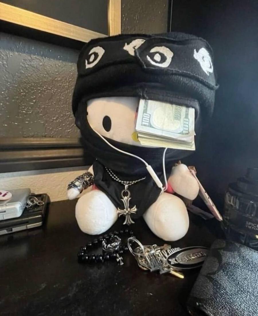 Plush cat in a balaclava with a stack of bills