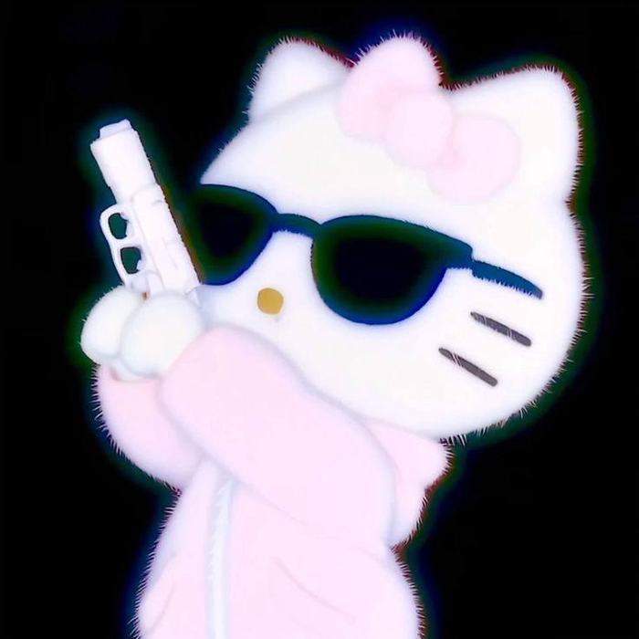 Hood Kitty in sunglasses